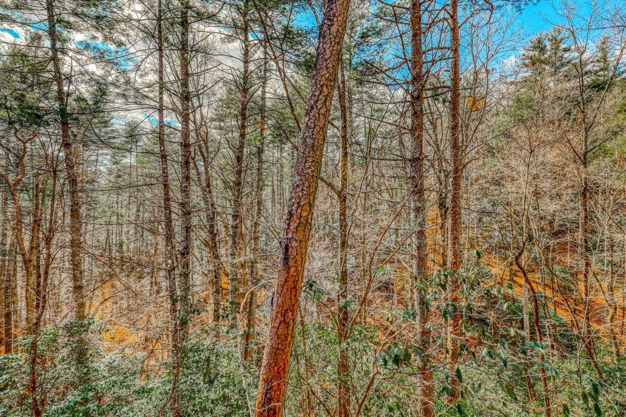 블루리지 Etowah 빌라 외부 사진